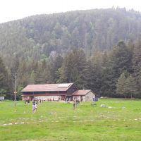 IMG-20180521-WA0036